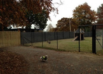 winddoek op rol, honderd%hond