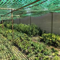 zichtbreeknet shadow comfort excellent desert storm