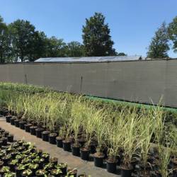 zichtbreeknet shadow comfort excellent desert storm